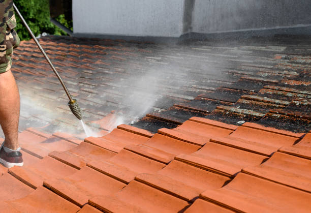 Best Residential Pressure Washing Services  in Fussels Corner, FL